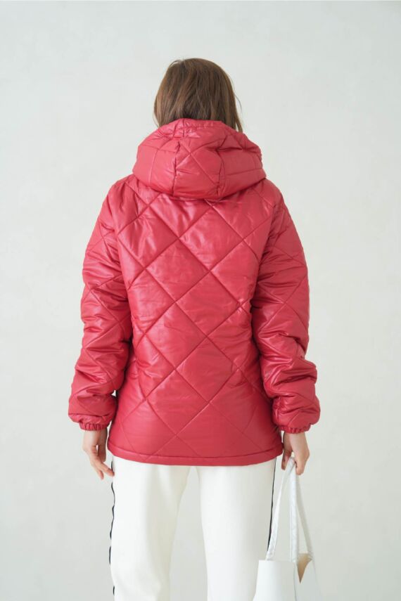 D1fference İçi Astarlı Cepli Kapüşonlu Jel Elyaflı Su ve Rügar Geçirmez Kadın Kışlık Mont - 11