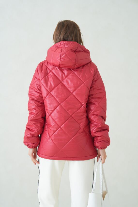 Su ve Rüzgar Geçirmez Jel Elyaflı Kapitone Cepli Spor Mont - 18